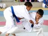 Torneo Provincial de Judo