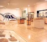Museo Arqueológico-Paleontológico de Salas